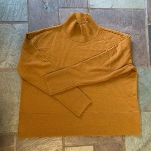 Everlane Cashmere Square Turtleneck